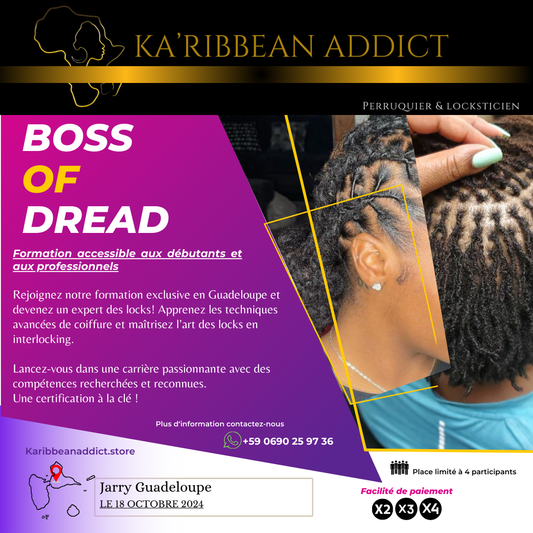 Formation BOSS OF DREAD 3 jours en présentiel Guadeloupe